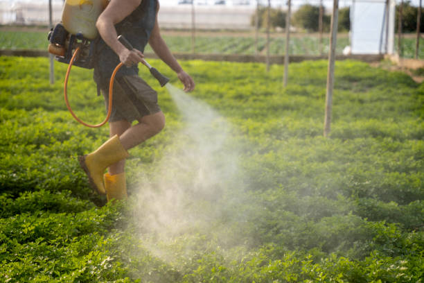 Best Insect Control  in East Vineland, NJ