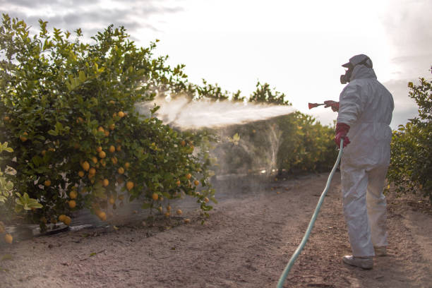 Best Best Pest Control Near Me  in East Vineland, NJ