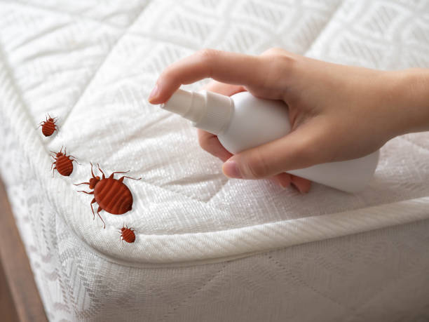 Best Best Pest Control Companies  in East Vineland, NJ