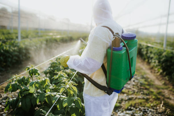 Best Pest Prevention Services  in East Vineland, NJ